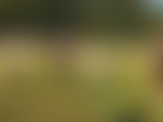 WFV-Saison 2026/2027 eröffnet