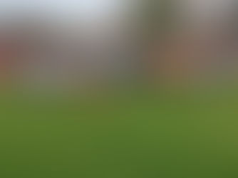 DFB-Stützpunkte sichten Einschulungskader