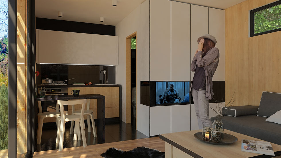 Миниатюра: micasa 01