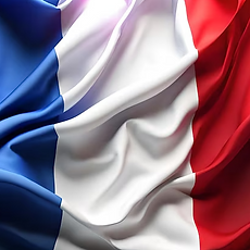 French flag.png