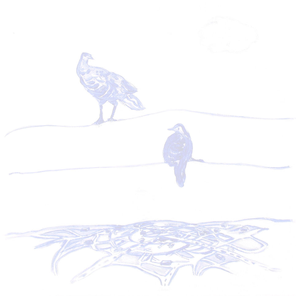 BIRDS WIRE_edited_edited.jpg