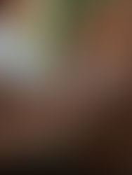 co-hosting my first every offline art retreat / workation in andalusia