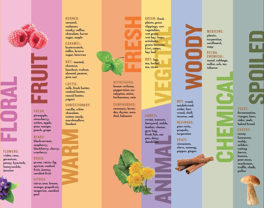 Honey Different Flowers, Different Flavors