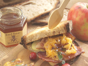 Bacon Cheddar Panini with Cranberry Honey & Apple