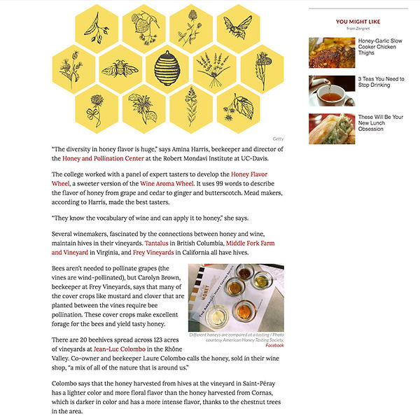 WineEnthusiast3.jpg