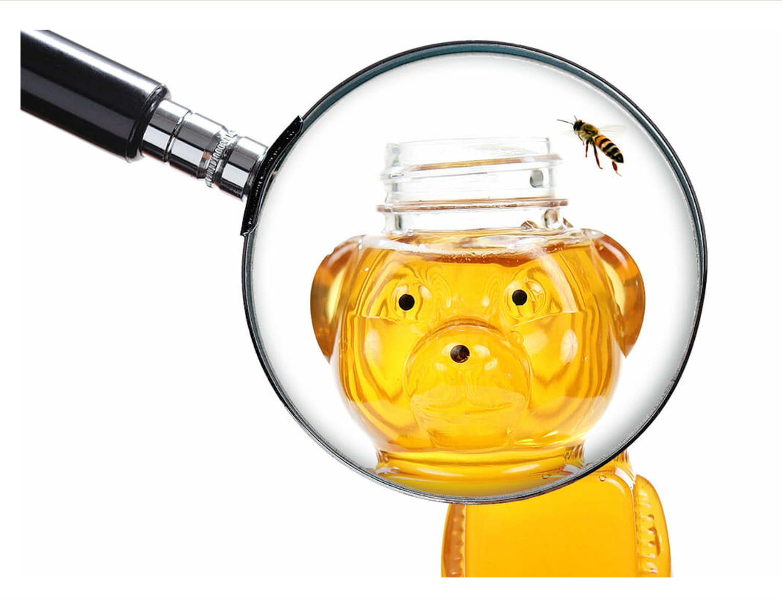 Honey Adulteration & Fraud - Online - October 7