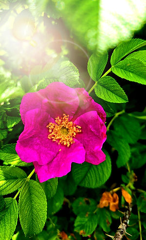 20250627_111912 (1)_edited_edited.jpg