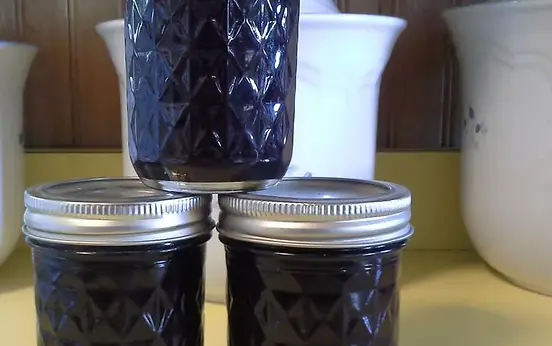 Blueberry and Raisin Jam