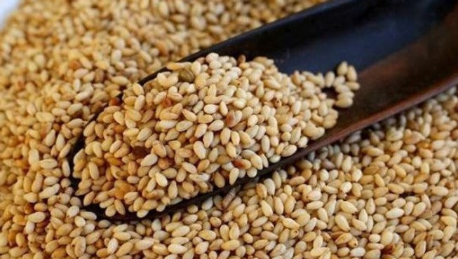 SESAME SEEDS