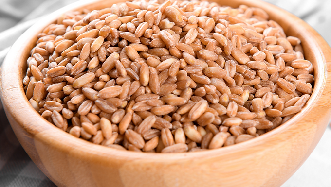 SPELT KERNALS - ORGANIC