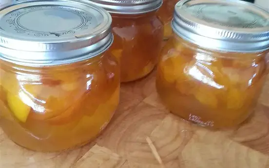 Homemade Apricot Jam
