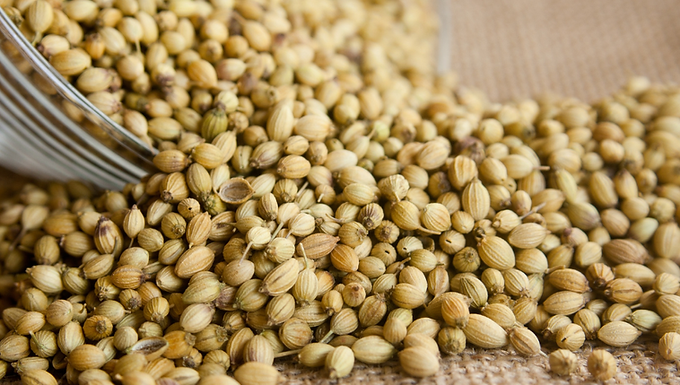 CORIANDER WHOLE