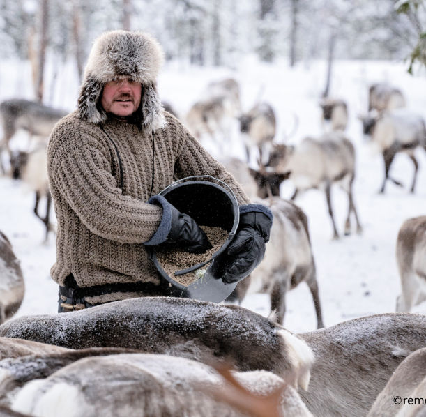 Private Meet the Reindeer like a local with a snowmobile sled, Levi