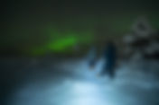 Night Snowshoeing - search for the Aurora, Levi