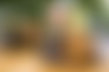 Indulta, la hamburguesa que llega a incomodar