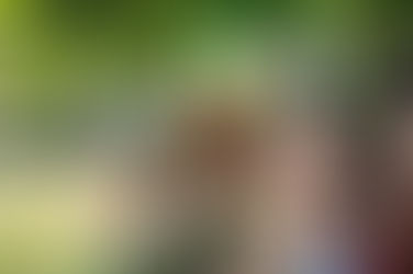 LA FIESTA MÁS CALIENTE DERRITIÓ A MEDELLÍN