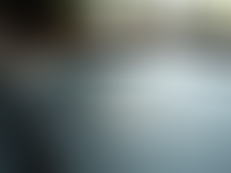 EU Federation Constitution Ratification Process: Key Steps Revealed