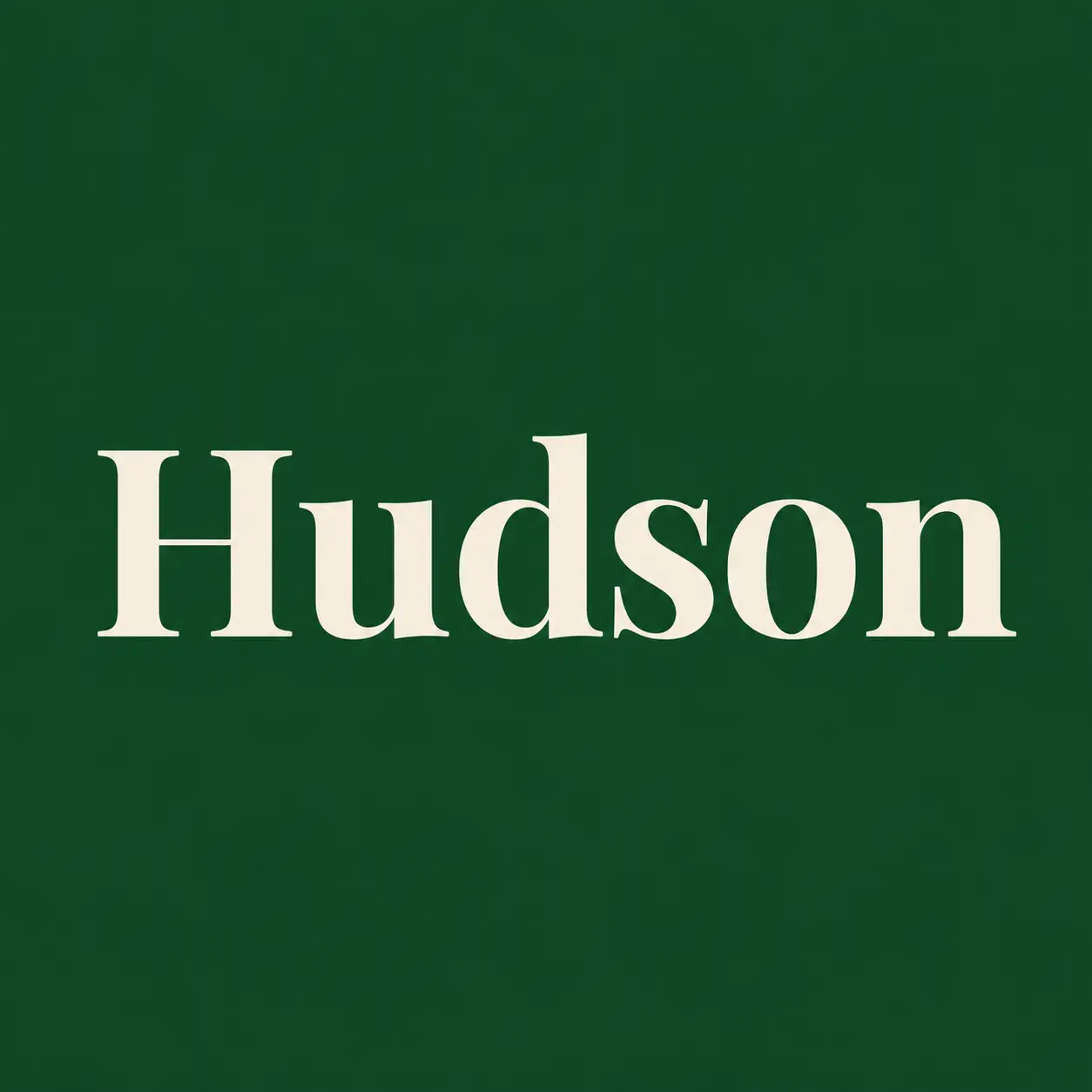 hudson.webp