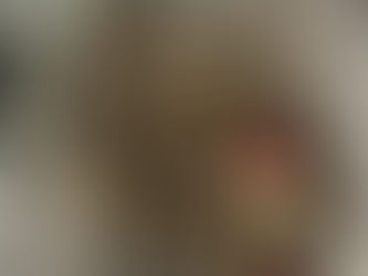 TX-Ranger Plate Carrier