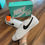 Miniatura: Sb Blazer Court