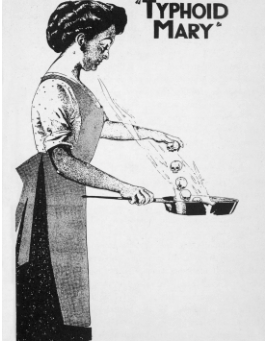 Typhoid Mary: The Cook Who Changed Public Health Forever