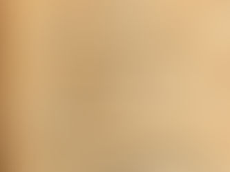 William Seward's Description of Chatterton.