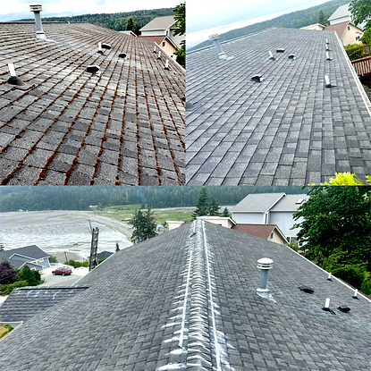 Moss removal