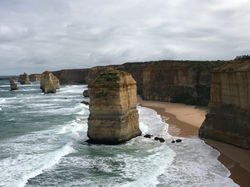 great ocean road private tour 13