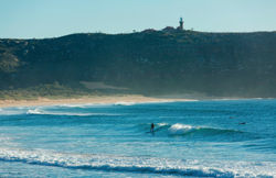 Sydney North Shore & Northern Beach