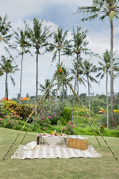 picnic lunch 2.JPG