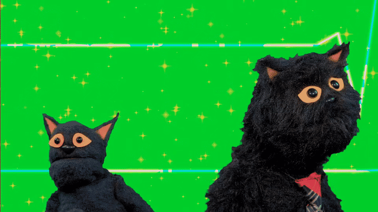 Animal Behavior Episode 3-high (2).gif