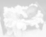 Facetune_29-06-2025-19-56-51_edited_edited.jpg