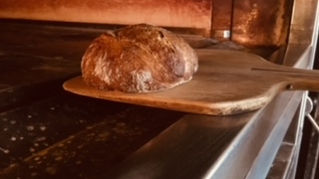 Jung 48 - Jeden Dienstag, Donnerstag und Samstag erhältlich