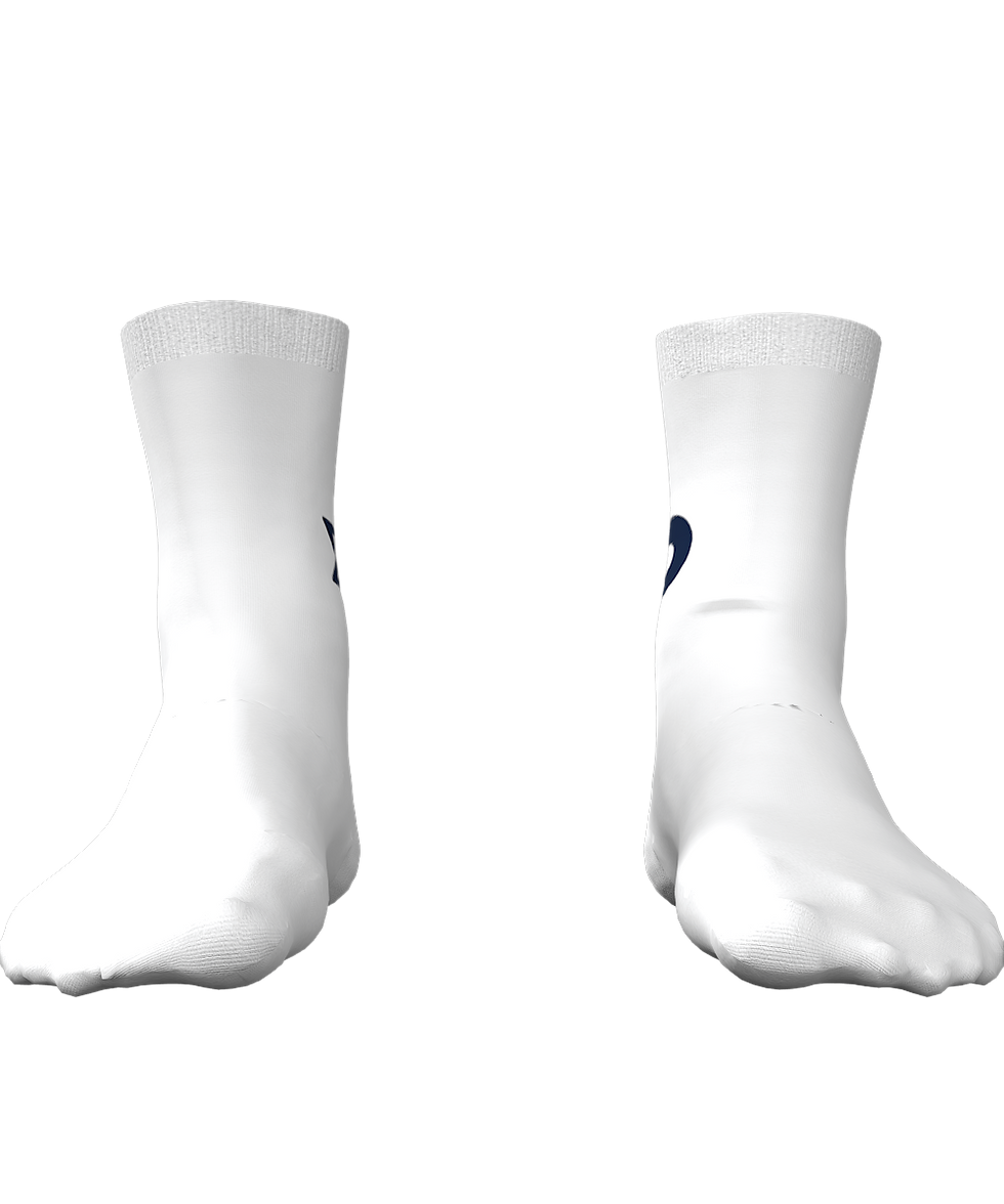 תמונה ממוזערת: Israel - Premier Tech Academy 2025 Race Socks