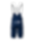 תמונה ממוזערת: Israel - Premier Tech Academy 2025 Pro Bib