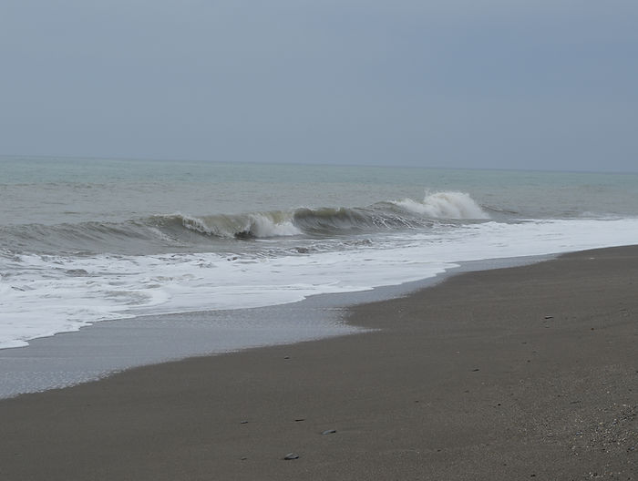 DSC_0026.JPG