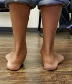 Screen Shot 2025-08-04 at 8.40.08 pm.png