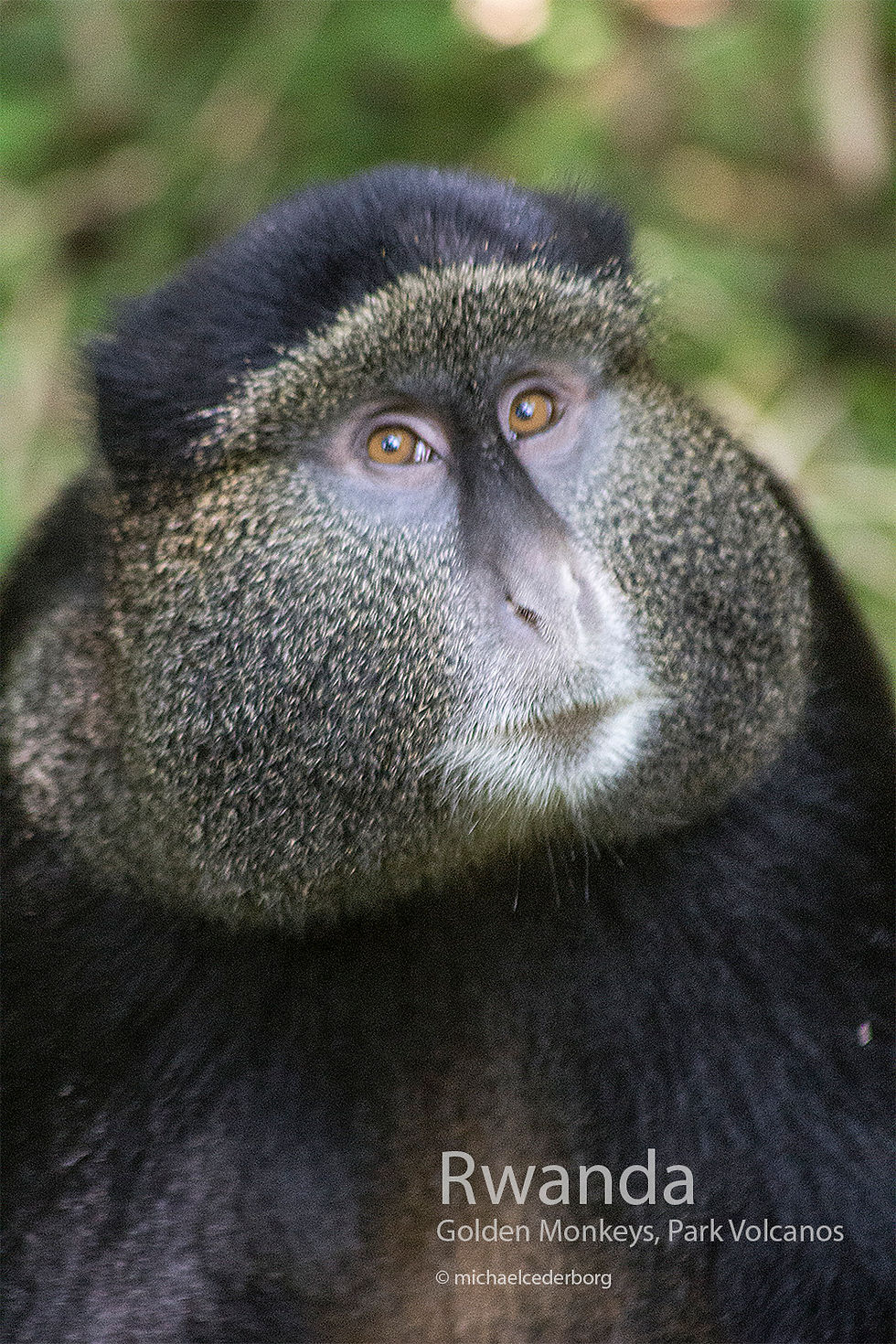 Rwanda POW (2D) 071014_5494