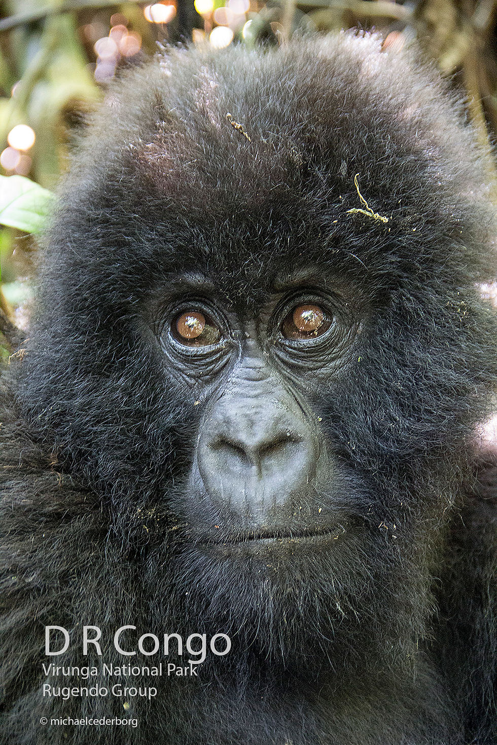 D R Congo POW (34) 071414_8171
