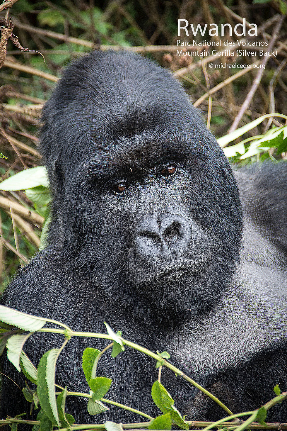 Rwanda POW (38) 071114_5927