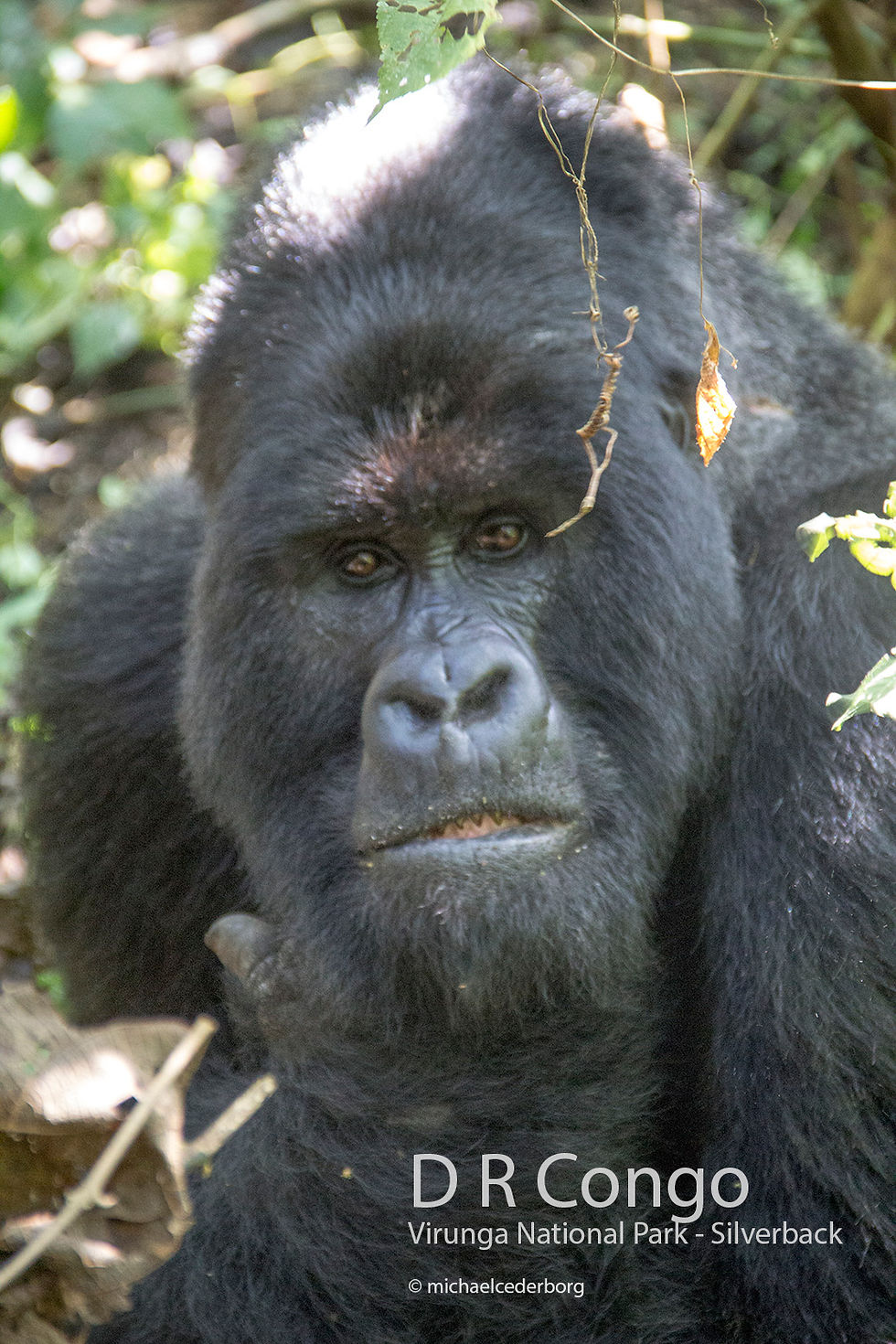 D R Congo POW (32) 071414_8140