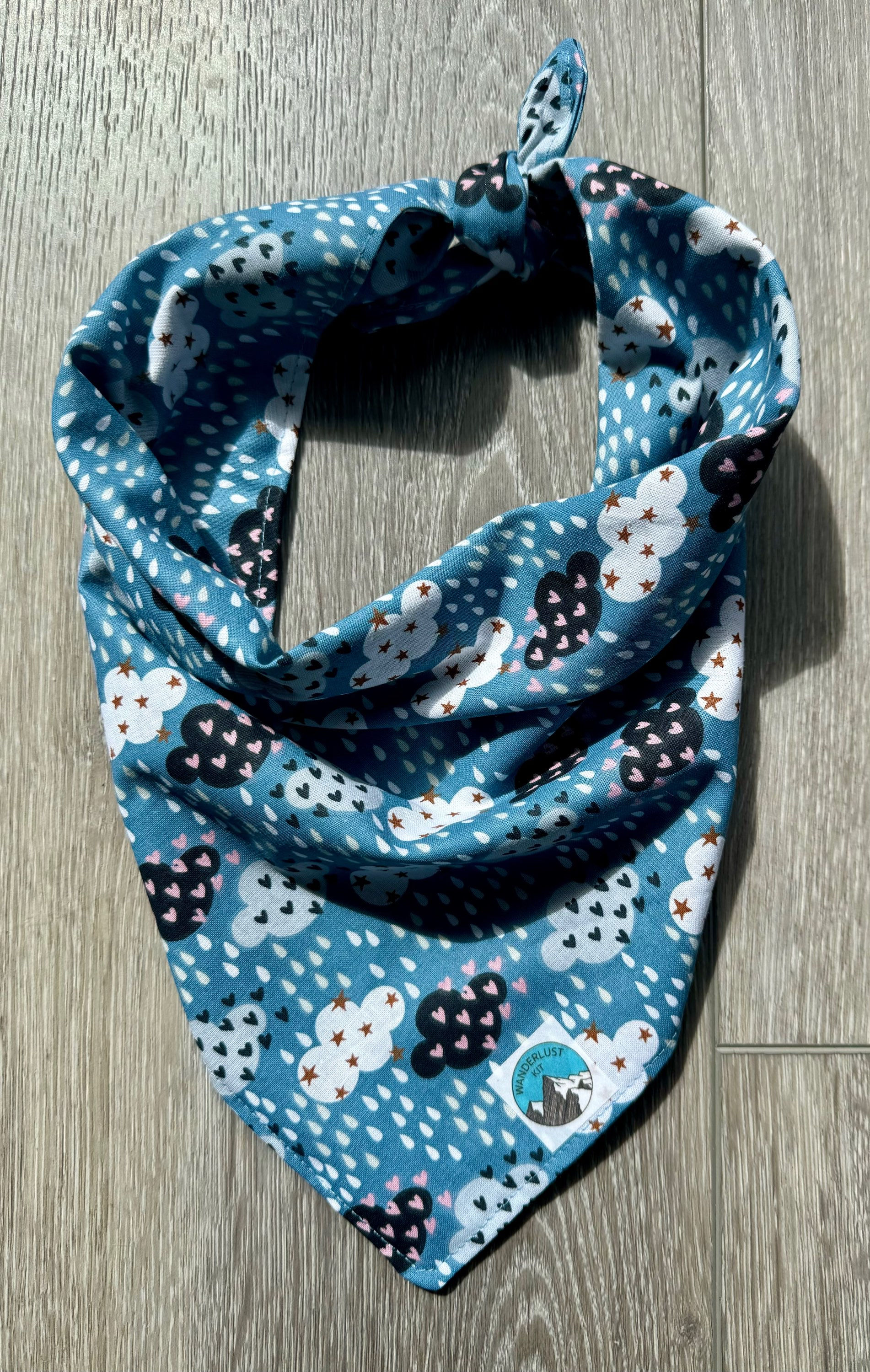 April Showers Dog Bandana