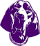 image0.png