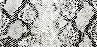 1810BA22-5742-46D6-813D-DA916219A15D.PNG