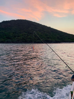 Fishing trip