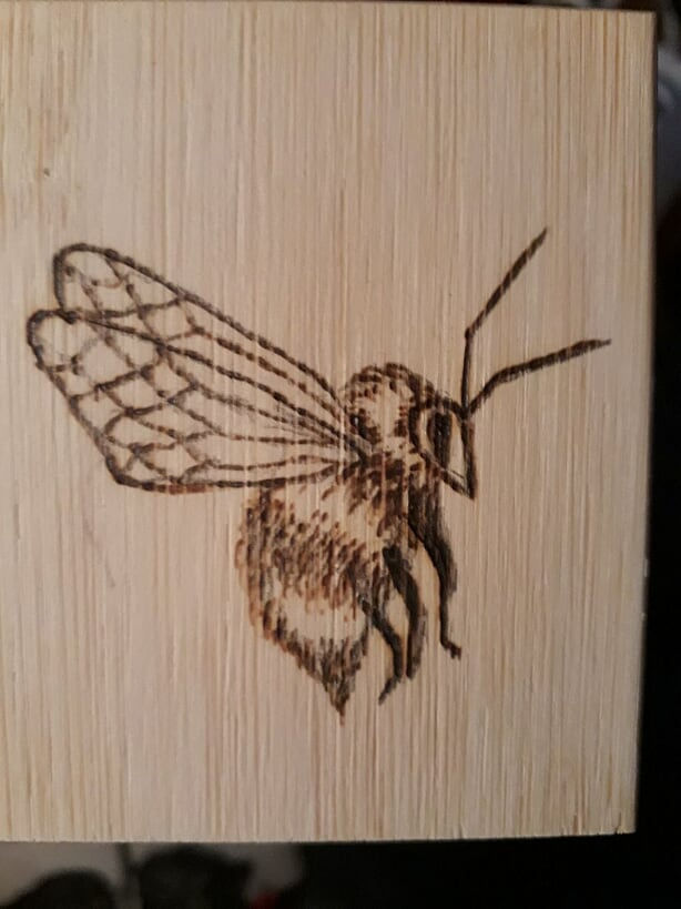 248209518_389511.jpg