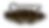 war-logo-2019-4.png