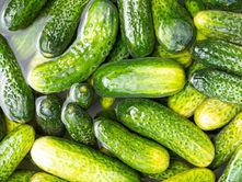 Pickles Are Becoming More Than a Food Trend, They’re Becoming a Lesson in Disruptive Innovation