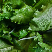 Cyclospora Outbreak Reveals Why Purpose Begins Before Crisis