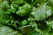 Cyclospora Outbreak Reveals Why Purpose Begins Before Crisis